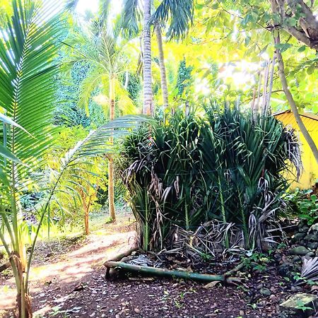La Familia Guest House And Natural Farm Порт-Антонио Экстерьер фото