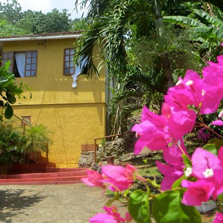 La Familia Guest House And Natural Farm Порт-Антонио Экстерьер фото