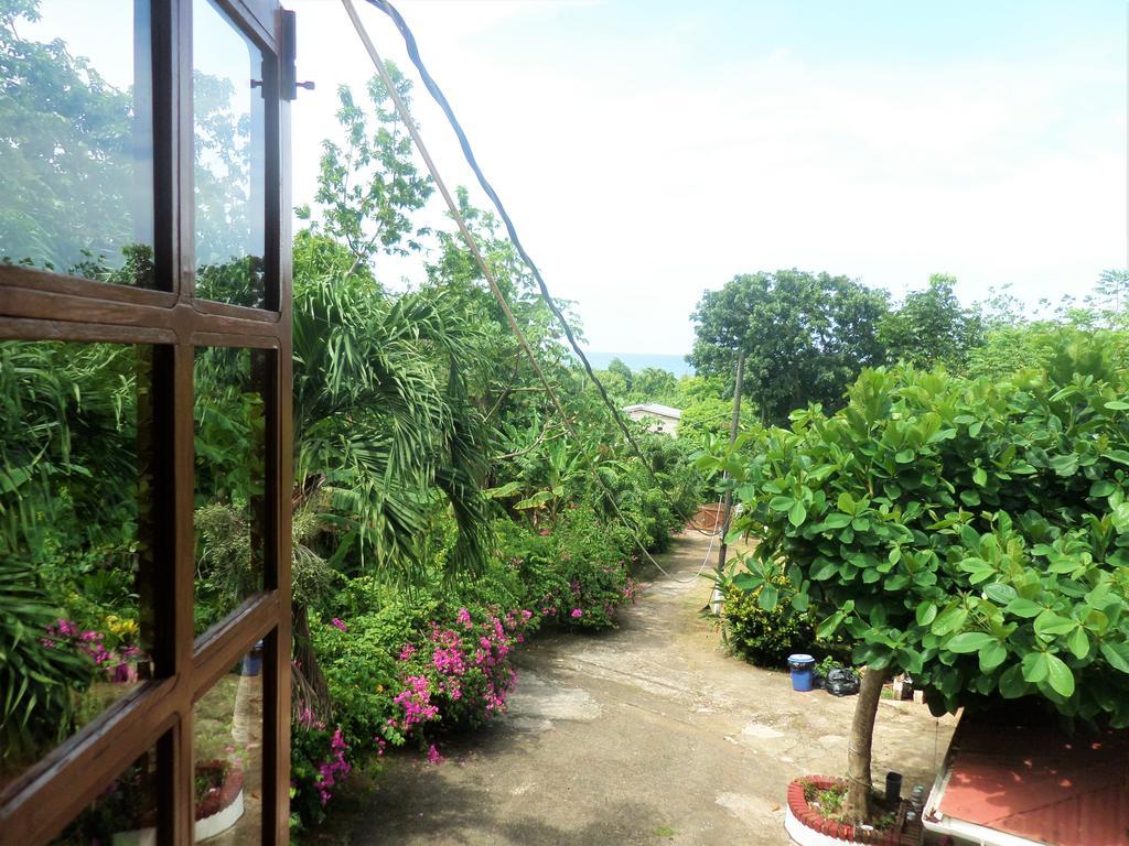La Familia Guest House And Natural Farm Порт-Антонио Экстерьер фото